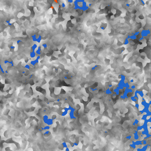 GWAC evolved texture gots20101121k
