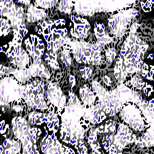 GWAC evolved texture gots20101123b