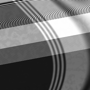 GWAC evolved texture gots20110411c