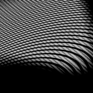 GWAC evolved texture gots20110411d