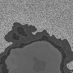 GWAC evolved texture gots20110412h
