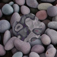 camouflaged prey on "pebbles" background