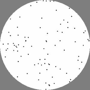 simulated poppy seeds