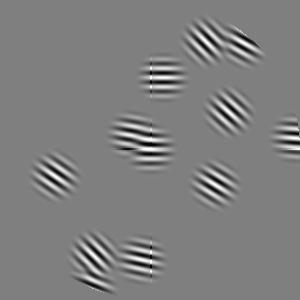 first several convolutions